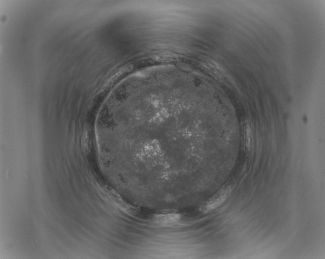 X0000071860266200607141822