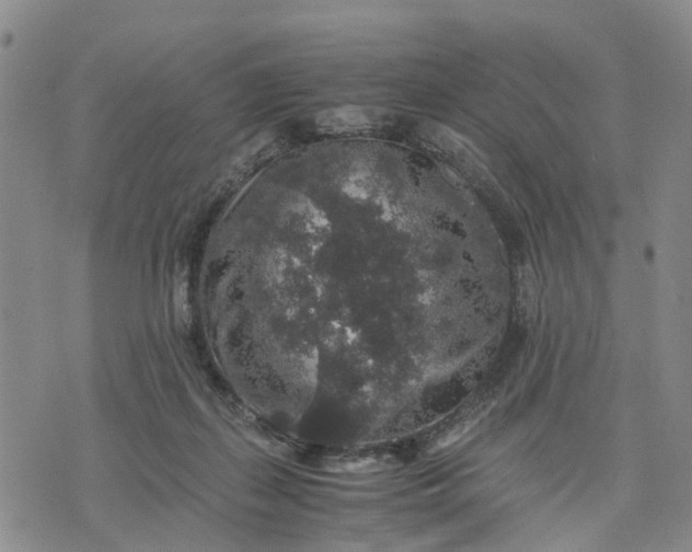 X0000071860267200607141822