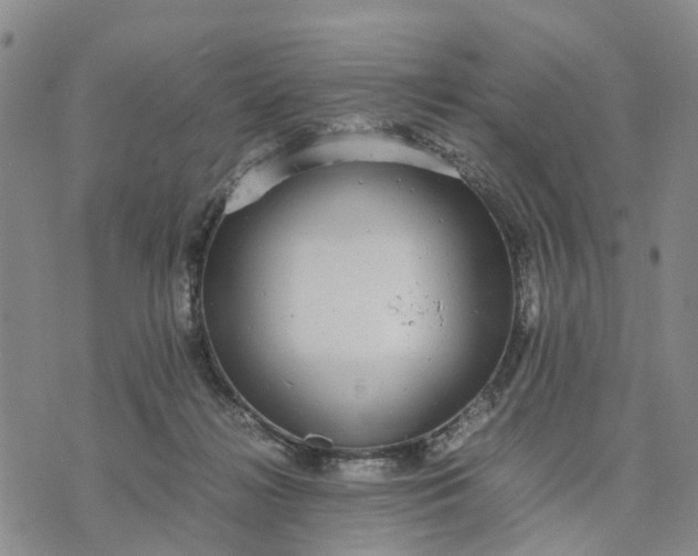 X0000071860268200607141822