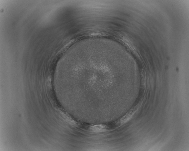 X0000071860269200607141822