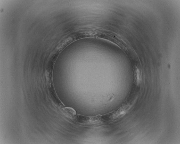 X0000071860270200607141822