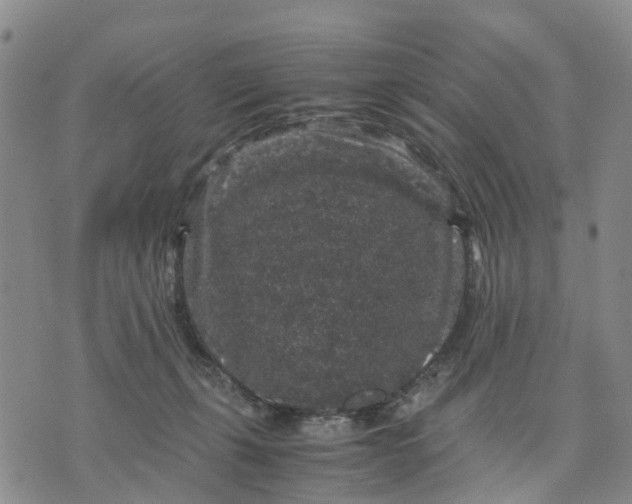 X0000071860271200607141822