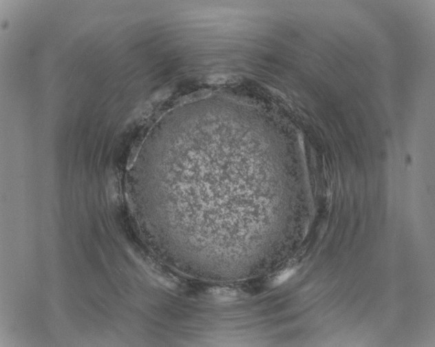 X0000071860272200607141822