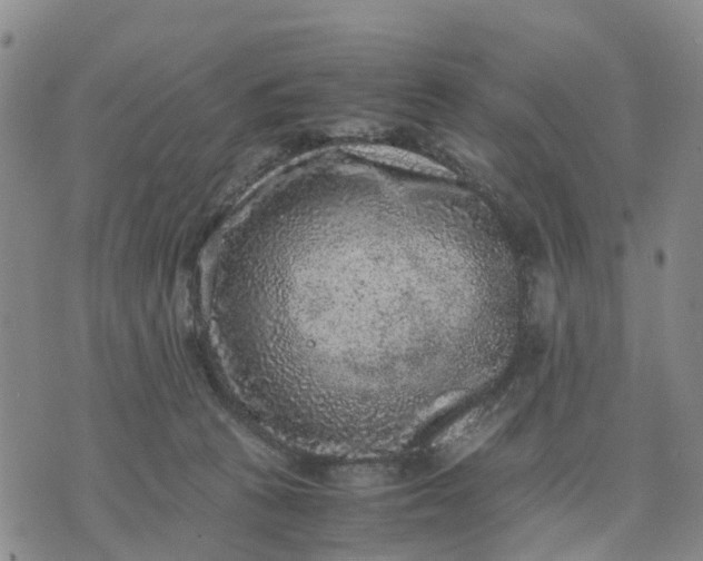 X0000071860273200607141822