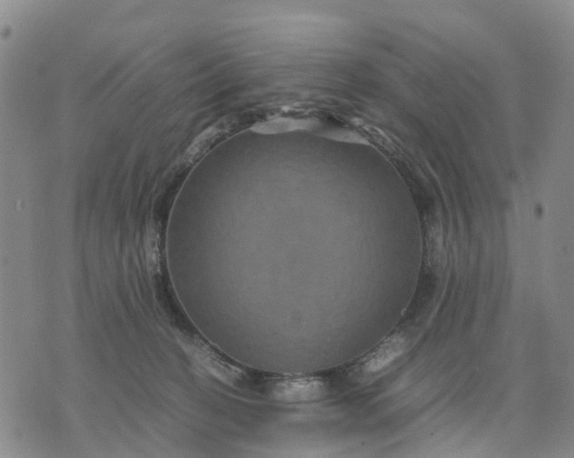 X0000071860274200607141823