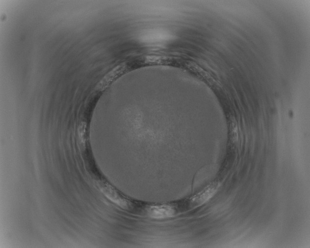 X0000071860275200607141823