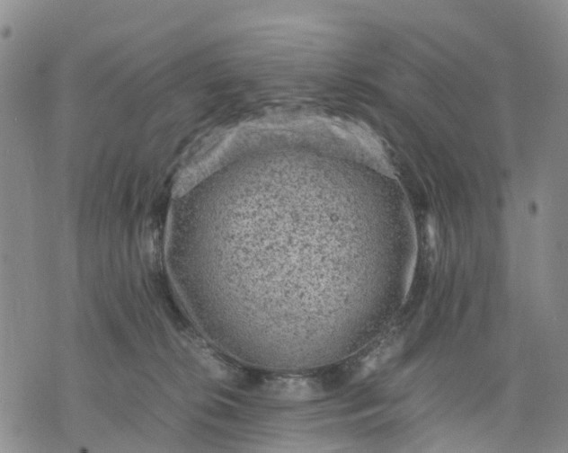 X0000071860276200607141823