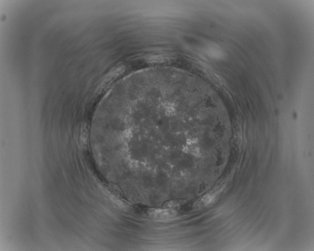 X0000071860277200607141823