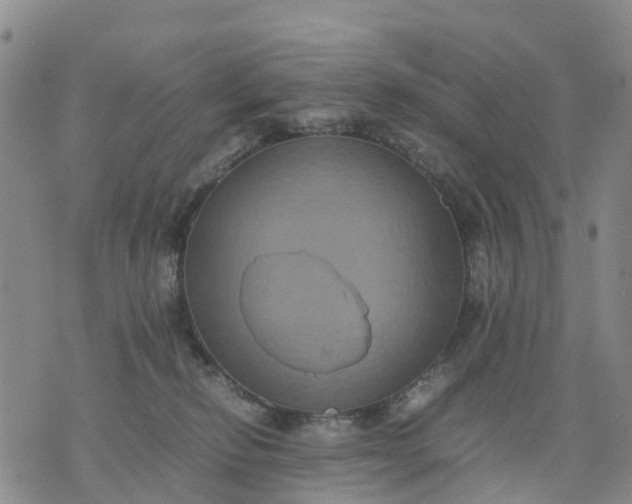 X0000071860278200607141823