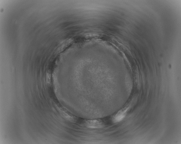 X0000071860281200607141823