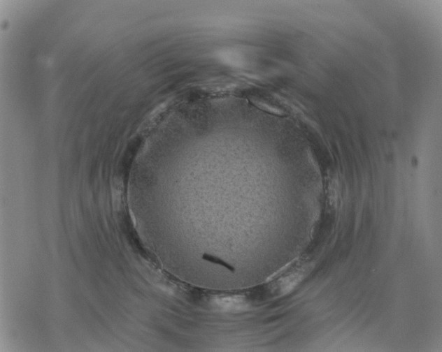 X0000071860283200607141823