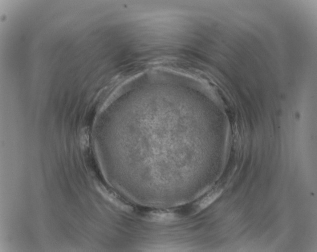 X0000071860284200607141823