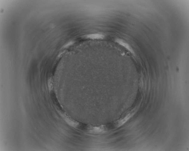 X0000071860285200607141823