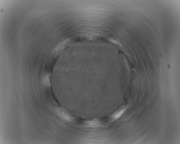 X0000071860286200607141823