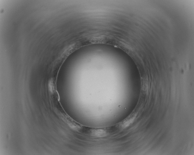 X0000071860287200607141823