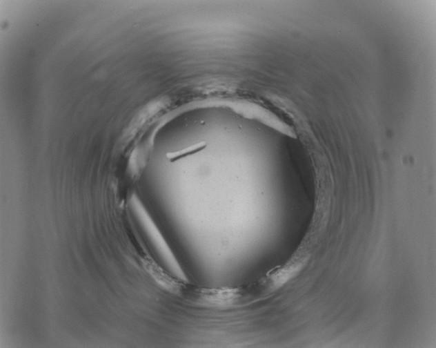 X0000071860288200607141823