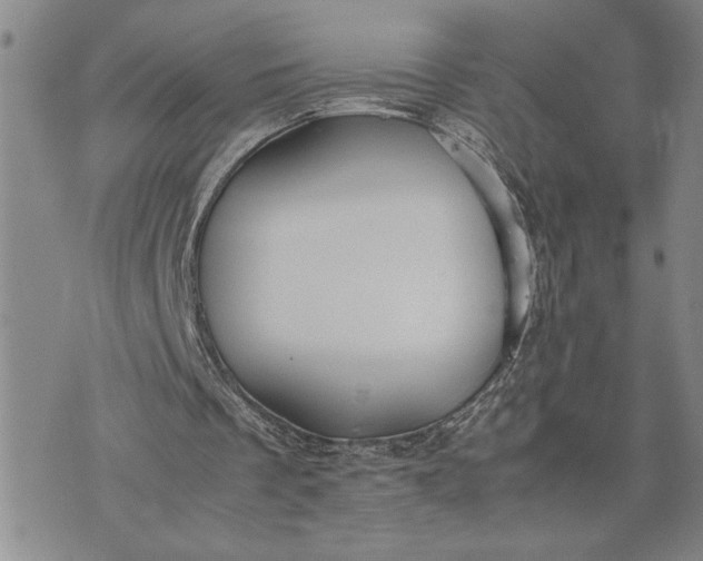 X0000071860289200607141822