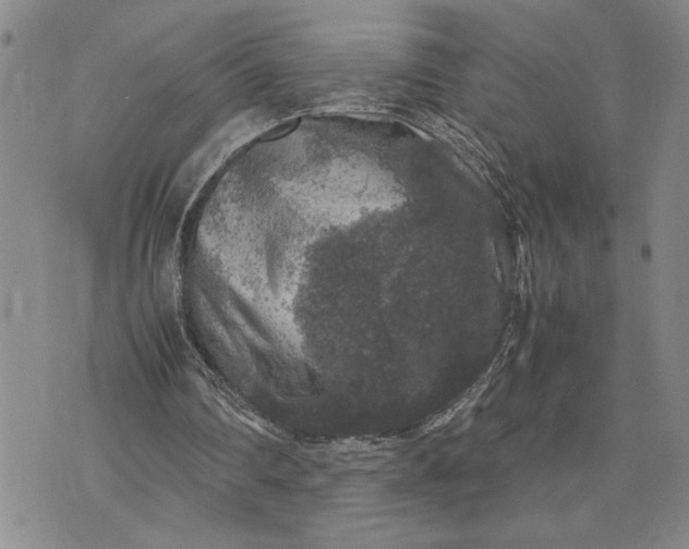 X0000071860290200607141822