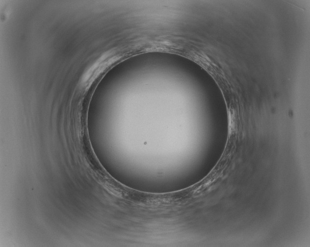 X0000071860291200607141822