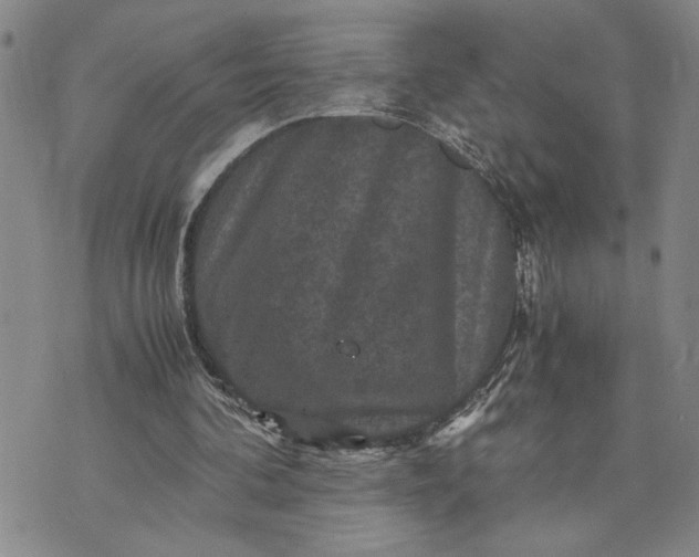 X0000071860292200607141822