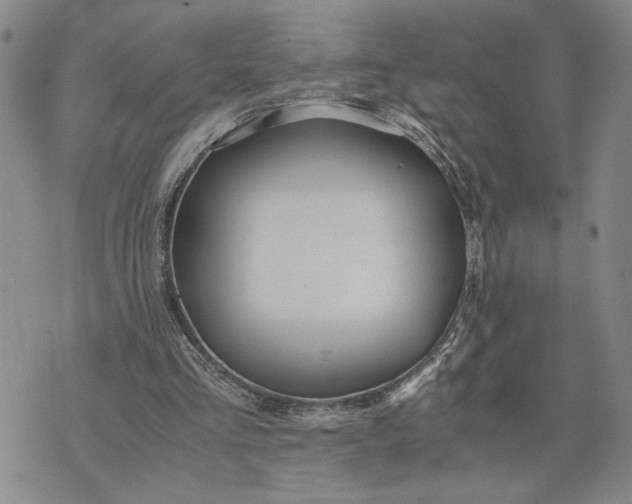 X0000071860293200607141822