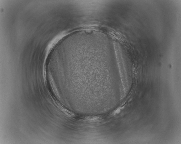 X0000071860294200607141822