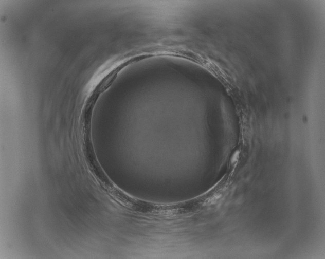 X0000071860295200607141822