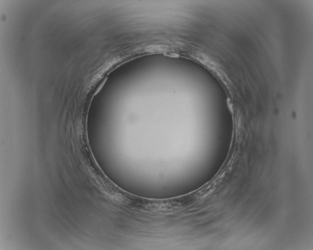 X0000071860297200607141822