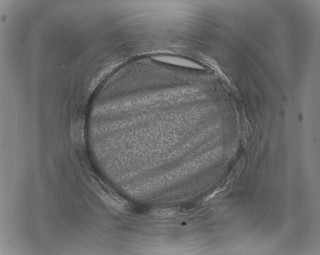 X0000071860299200607141822