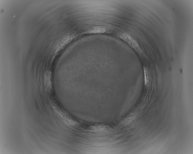 X0000071860300200607141822