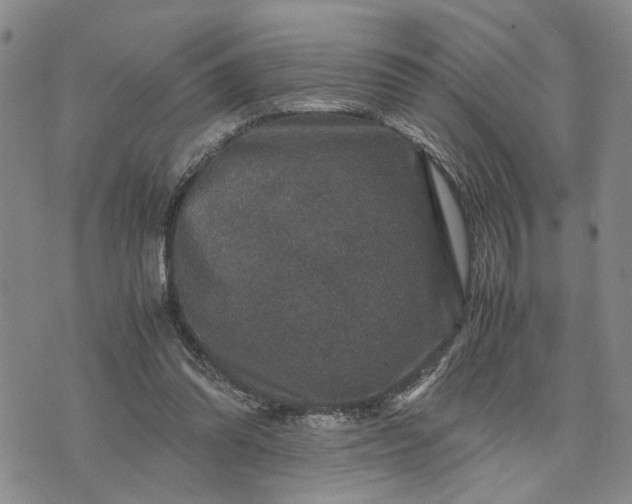 X0000071860302200607141822