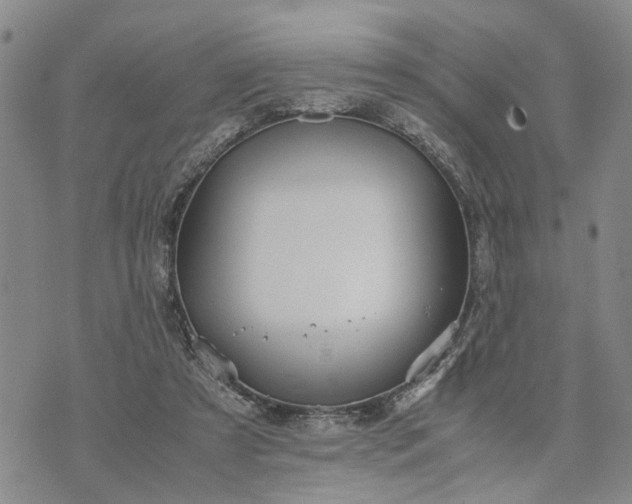 X0000071860305200607141822