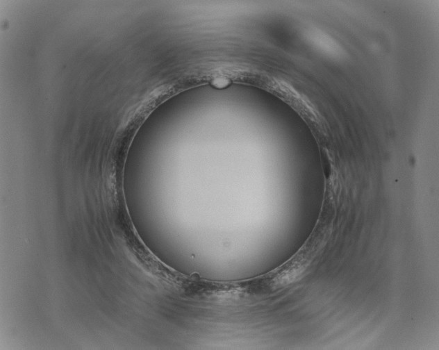 X0000071860306200607141822