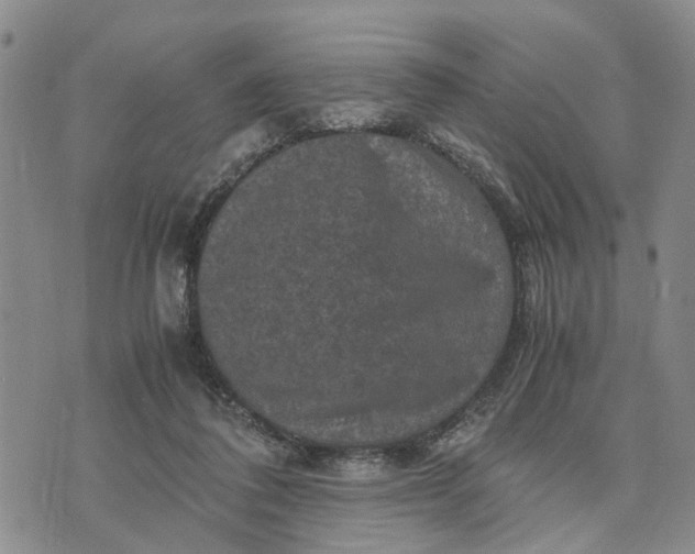 X0000071860308200607141822