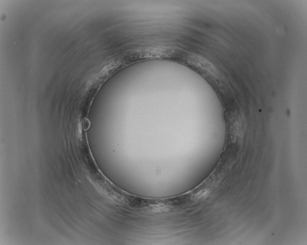 X0000071860310200607141822