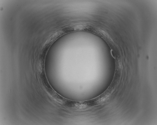 X0000071860311200607141822