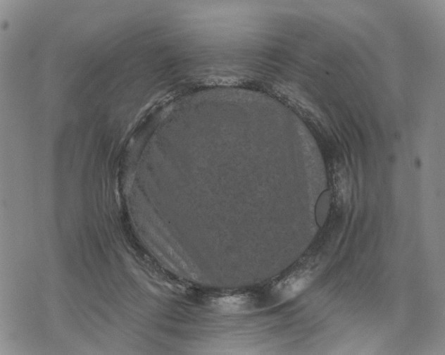 X0000071860312200607141822