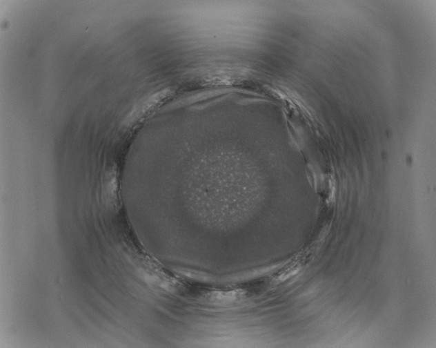 X0000071860314200607141822