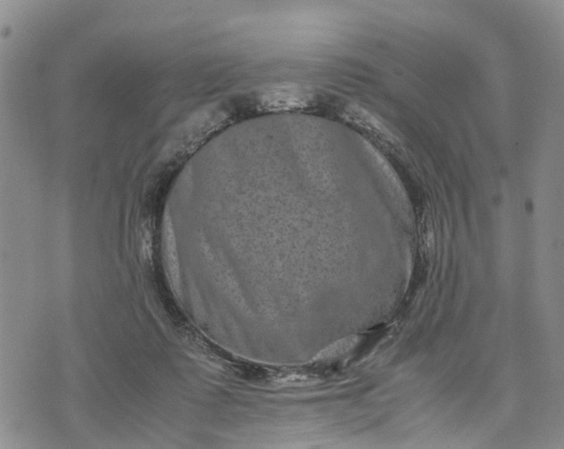 X0000071860315200607141822