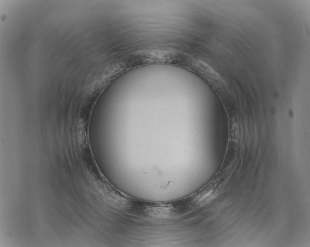 X0000071860318200607141821