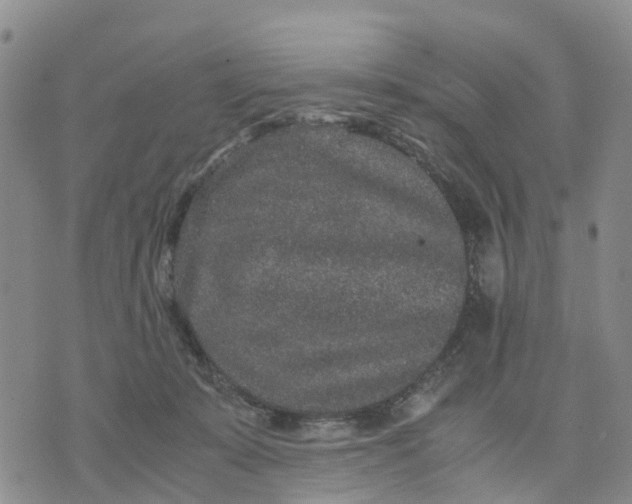 X0000071860319200607141821