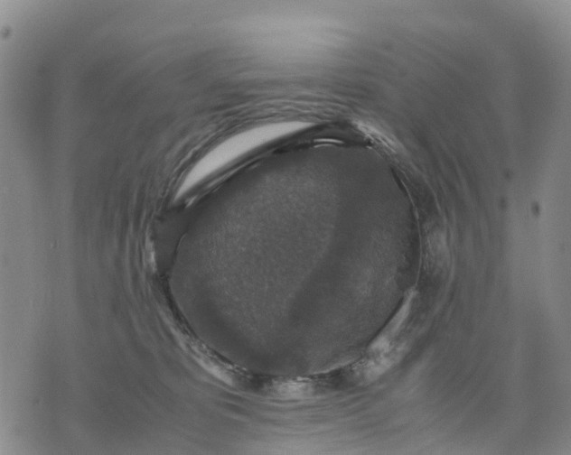 X0000071860325200607141821