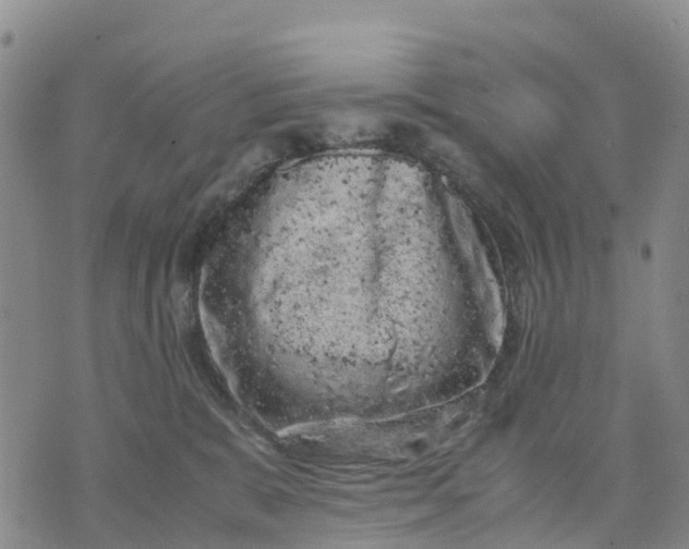 X0000071860327200607141821