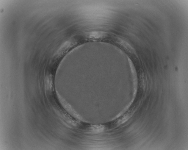 X0000071860328200607141821