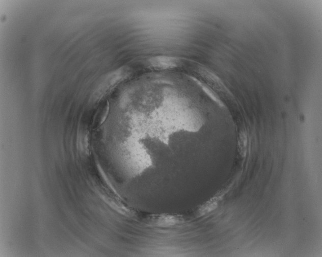 X0000071860330200607141821