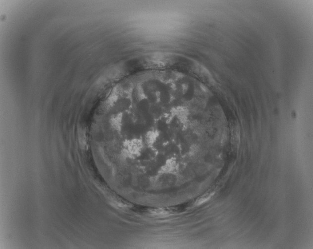 X0000071860331200607141821