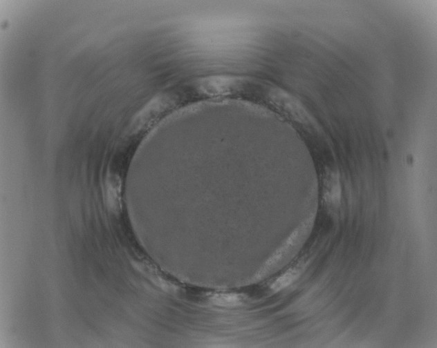 X0000071860332200607141821