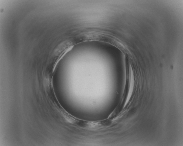 X0000071860333200607141821