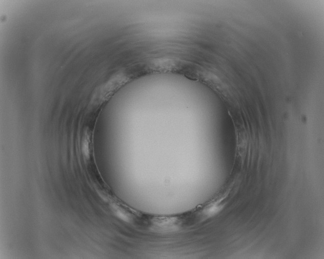 X0000071860334200607141821