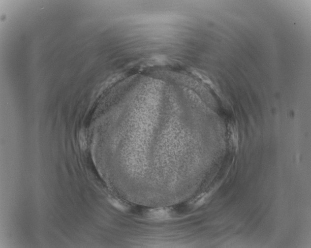 X0000071860335200607141821